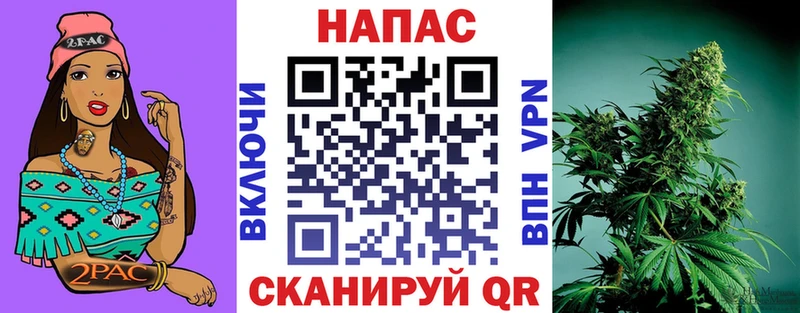 Бошки марихуана сатива  Купить закладки  Жуковка 